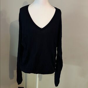 The Limited Deep Blue V-Neck Sweater